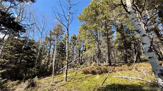 2796 Moir Drive Fort Garland, CO 81133