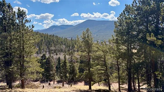 2796 Moir Drive Fort Garland, CO 81133