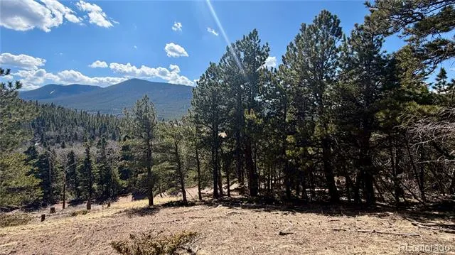 2796 Moir Drive Fort Garland, CO 81133