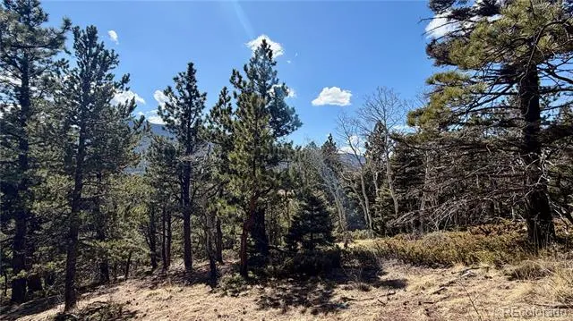 2796 Moir Drive Fort Garland, CO 81133