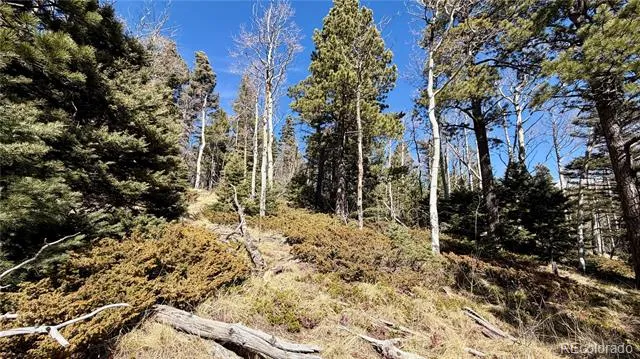 2796 Moir Drive Fort Garland, CO 81133
