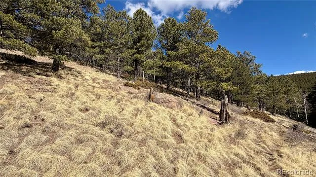 2796 Moir Drive Fort Garland, CO 81133