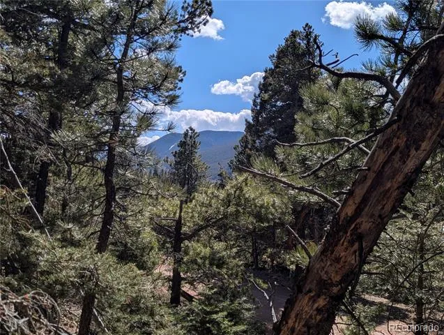 2796 Moir Drive Fort Garland, CO 81133