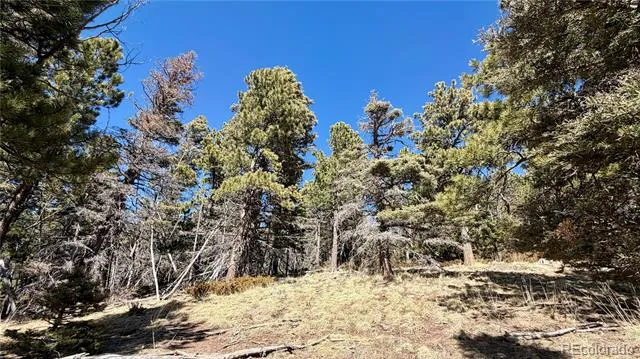 2796 Moir Drive Fort Garland, CO 81133