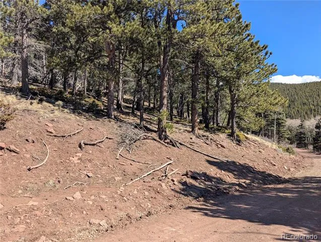 2796 Moir Drive Fort Garland, CO 81133