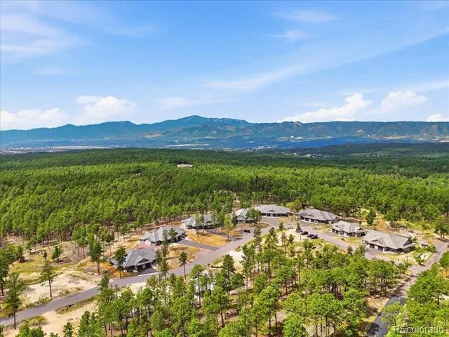 3135 Promise Point Colorado Springs, CO 80921