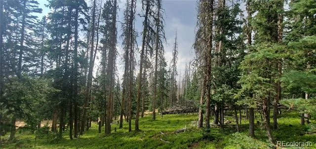 Lot 6542 Schlueter Road Fort Garland, CO 81133