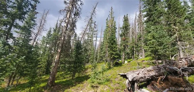 Lot 6542 Schlueter Road Fort Garland, CO 81133