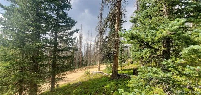 Lot 6542 Schlueter Road Fort Garland, CO 81133