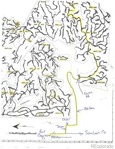 Lot 6542 Schlueter Road Fort Garland, CO 81133