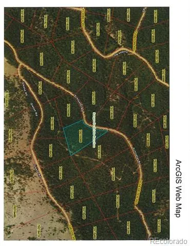 Lot 6542 Schlueter Road Fort Garland, CO 81133
