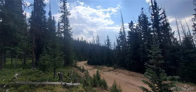 Lot 6542 Schlueter Road Fort Garland, CO 81133