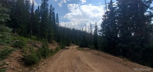 Lot 6542 Schlueter Road Fort Garland, CO 81133