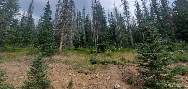 Lot 6542 Schlueter Road Fort Garland, CO 81133