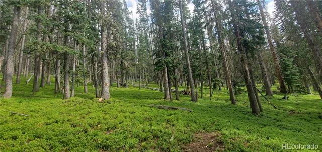 Lot 6542 Schlueter Road Fort Garland, CO 81133