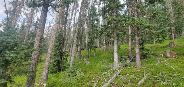 Lot 6542 Schlueter Road Fort Garland, CO 81133