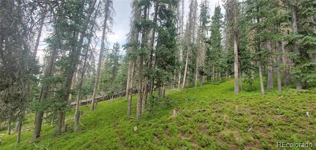 Lot 6542 Schlueter Road Fort Garland, CO 81133