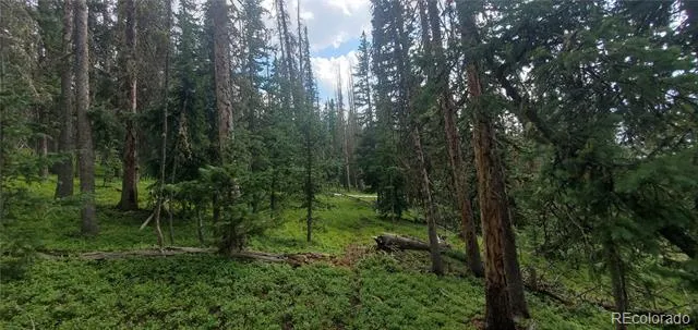 Lot 6542 Schlueter Road Fort Garland, CO 81133