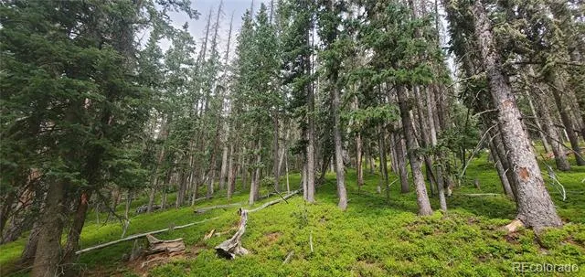 Lot 6542 Schlueter Road Fort Garland, CO 81133
