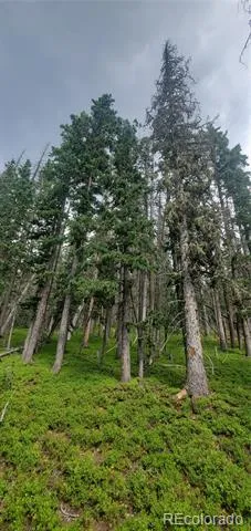 Lot 6542 Schlueter Road Fort Garland, CO 81133