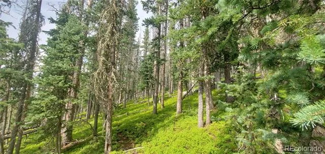 Lot 6542 Schlueter Road Fort Garland, CO 81133
