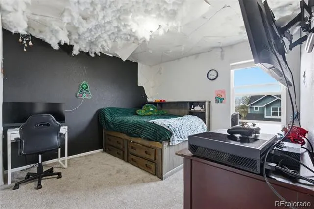 455 S 35th Court Brighton, CO 80601