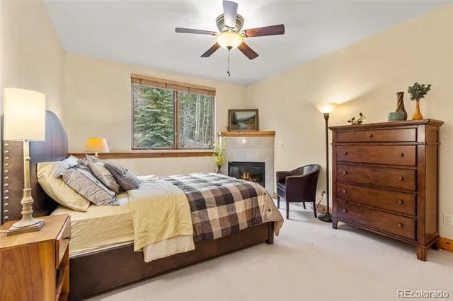 211 Tarnwood Drive Breckenridge, CO 80424