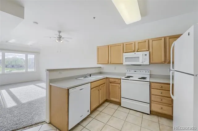 2894 W Riverwalk Circle #B112 Littleton, CO 80123