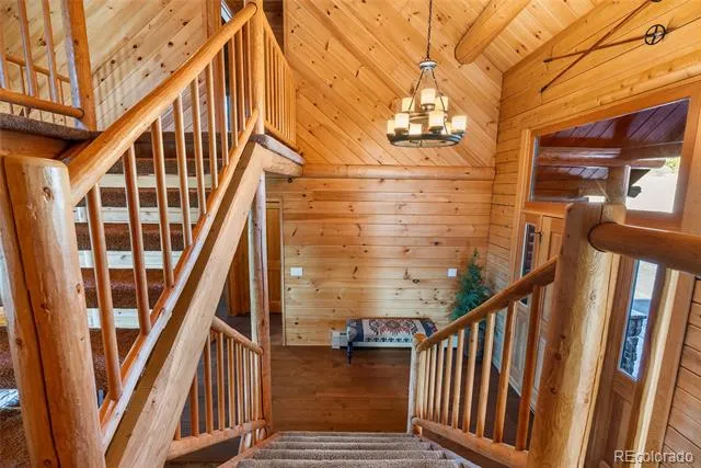 685 Jesse Lane Bailey, CO 80421