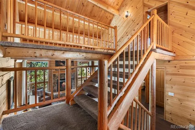 685 Jesse Lane Bailey, CO 80421