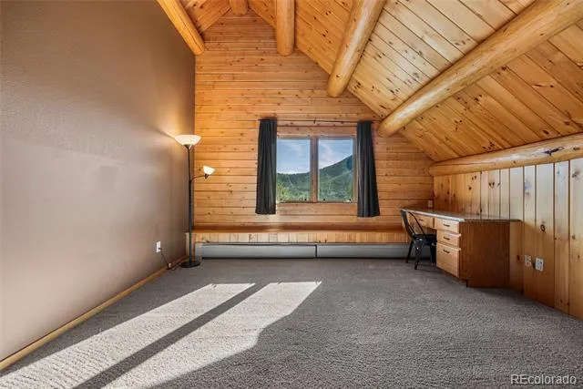 685 Jesse Lane Bailey, CO 80421