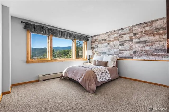 685 Jesse Lane Bailey, CO 80421