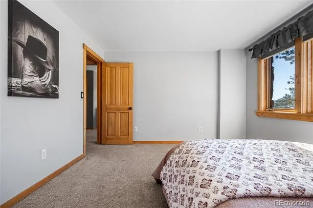 685 Jesse Lane Bailey, CO 80421