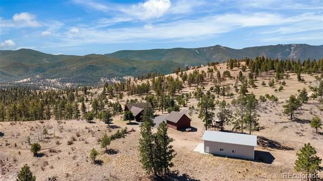 685 Jesse Lane Bailey, CO 80421
