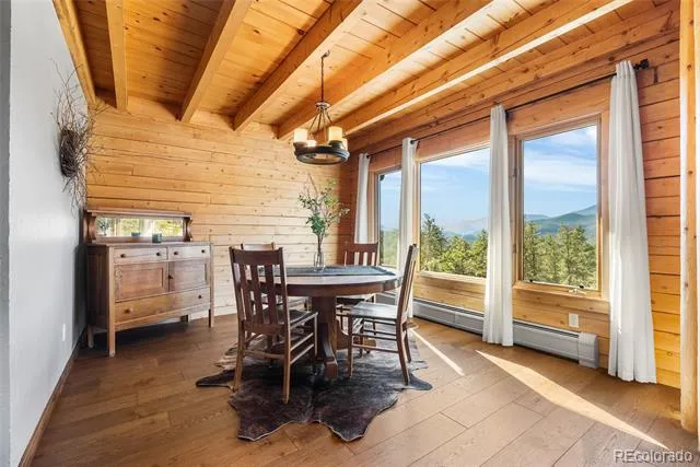 685 Jesse Lane Bailey, CO 80421