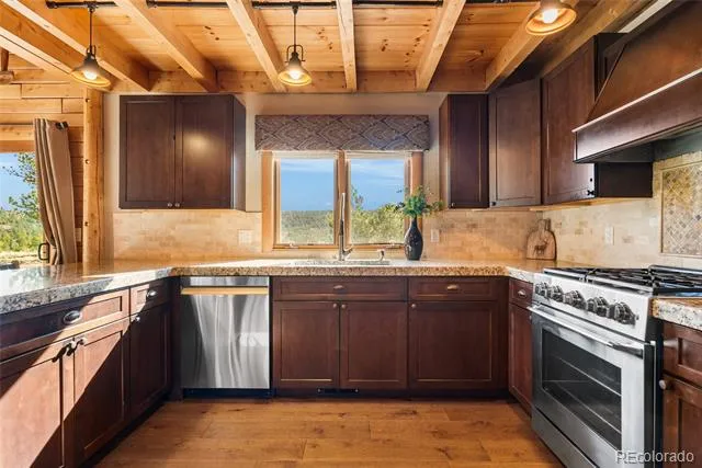 685 Jesse Lane Bailey, CO 80421