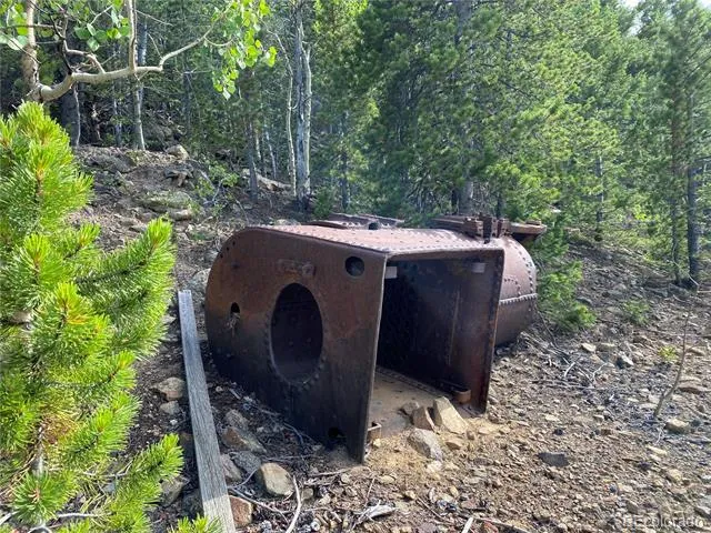 01 Nevadaville Road Central City, CO 80427