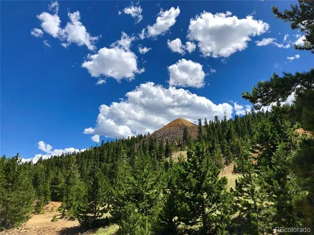 01 Nevadaville Road Central City, CO 80427