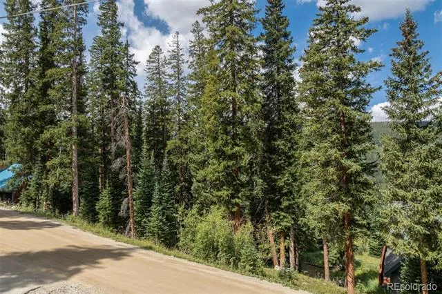 712 Doris Drive Breckenridge, CO 80424