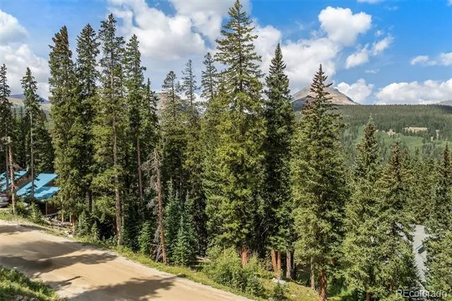 712 Doris Drive Breckenridge, CO 80424