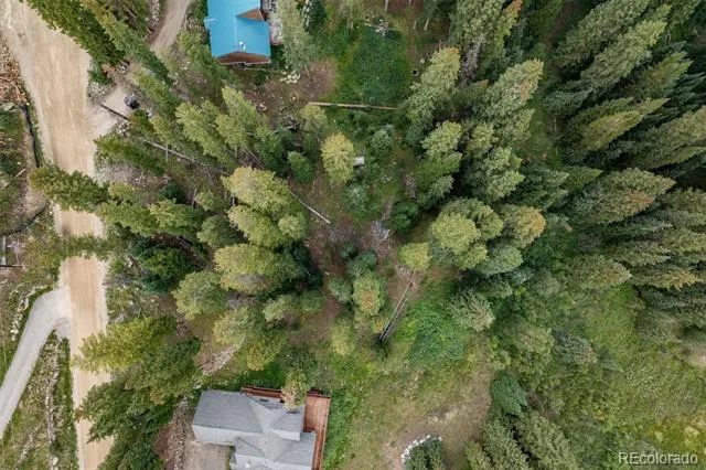 712 Doris Drive Breckenridge, CO 80424