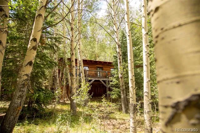 1001 County Rd 17 Lake City, CO 81235