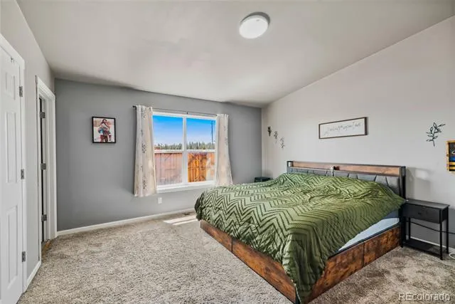 875 Trout Creek Drive Fairplay, CO 80440