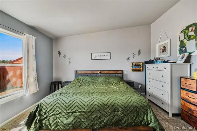 875 Trout Creek Drive Fairplay, CO 80440