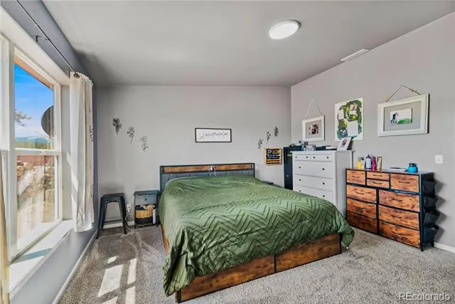 875 Trout Creek Drive Fairplay, CO 80440