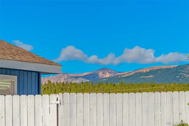 875 Trout Creek Drive Fairplay, CO 80440