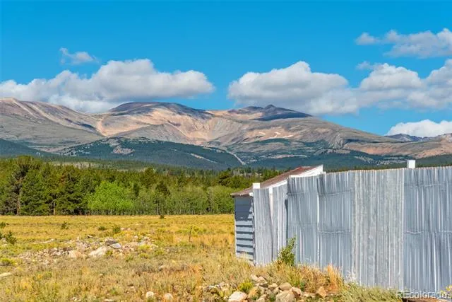 875 Trout Creek Drive Fairplay, CO 80440