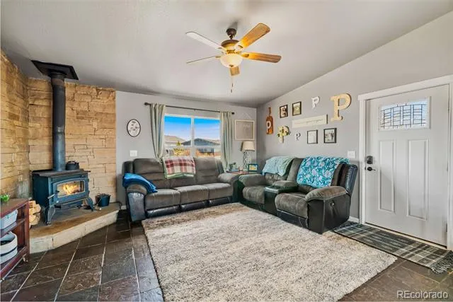 875 Trout Creek Drive Fairplay, CO 80440