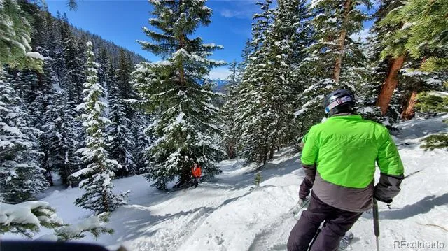 2300 Lodge Pole Circle #101 Silverthorne, CO 80498