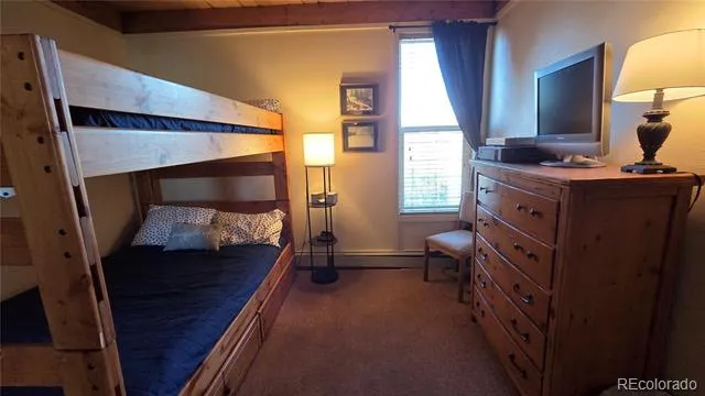 2300 Lodge Pole Circle #101 Silverthorne, CO 80498